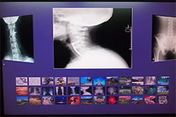 ꡼ No.005 | TGS 2013ϡȸɤǥǤ夬ˡ ǥ󤫤褿üλϵѤθƤߤ