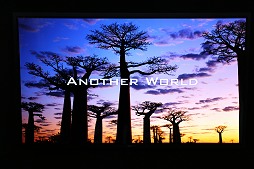 画像ギャラリー No.006のサムネイル画像 / CEATEC JAPAN 2013レポート。4K/8K時代に向けて鎬を削る各社の最新ディスプレイデバイスを紹介