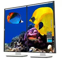 ���������꡼ No.005�Υ���ͥ������ / Dell��IGZO�վ��ѥͥ���Ѥ�32�����4K�����٥ǥ����ץ쥤��UP3214Q�פ���35���ߤ�ȯ�䡣24�����4K�������б������ʤ�ͽ��