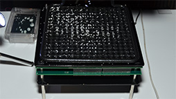 ꡼ No.008Υͥ / HDRɽǽʥ졼ץĶȤ˳ƥޤǡSIGGRAPH 2014Ǹ¿ʥǥץ쥤