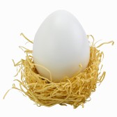 画像ギャラリー No.008のサムネイル画像 / 貼るだけで携帯ゲーム機やスマホが持ちやすくなる? タマゴ型グリップ発売