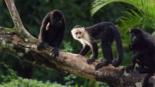 Rediscover the Joy of the Kitchen | IKEA Wonderful Everyday | TV Advert (Full)