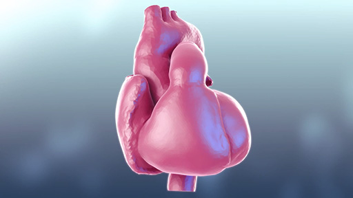 Multi-scale Multi-physics Heart Simulator UT-Heart