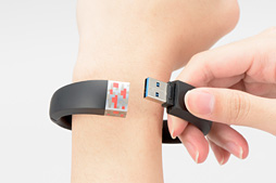 ꡼ No.004Υͥ / Υޡء PCMinecraftγػФGamebandפȤäƤߤ