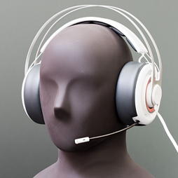 画像ギャラリー No.008のサムネイル画像 / ダミーヘッドを用いた計測で明らかにする,ゲーマー向けヘッドセット46製品の音質(4)製品検証,ブランド名Ro〜T