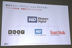 ꡼ No.004Υͥ / Western DigitalƱҽSSDWD Blue SSDסWD Green SSDפȯɽ򳫺šܤǤǽȵ̤ͥBlue