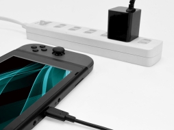 ꡼ No.016Υͥ / Nintendo SwitchбUSB Type-Cť֥ACץʤɤƥåȯ