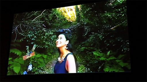 AOI VRWonderful World