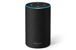 Google Home や Amazon Echo はゲームでも使えるもの ゲーマーも知っておきたい スマートスピーカー の今とこれから