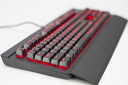 ꡼ No.003 | 4GamerΥܡɥӥ塼ץޡdelave᤬ôޤϴ¸ΥåƥƥȤΤӥ塼ˤ礤˸