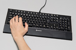 ꡼ No.029 | 4GamerΥܡɥӥ塼ץޡdelave᤬ôޤϴ¸ΥåƥƥȤΤӥ塼ˤ礤˸