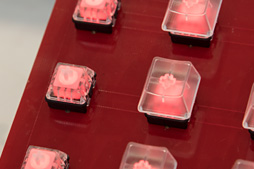 ꡼ No.005 | COMPUTEXϿϡΤפȡ֥ѥ󥿼ǤסKaihuaΥޡå2ʤ򸫤Ƥ