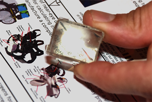 ꡼ No.010Υͥ / SIGGRAPHޤǥ󥺤 üŸE-TECHפNVIDIAVRϢѤå