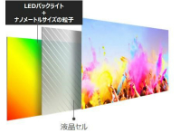 ���������꡼ No.006�Υ���ͥ������ / DisplayHDR 600��FreeSync���б������ȼ��Ρ�Nano IPS�פ���Ѥ���31.5�����4K�ǥ����ץ쥤��LG����