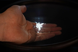 ꡼ No.007Υͥ / ΤҤοˡȿ䤷ɤи뵻Ѥ˶äInter BEE 2018ǥ륳ƥEXPO 2018ݡ