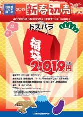 ���������꡼ No.002�Υ���ͥ������ / �ɥ��ѥ顤2019ǯ1��1���»ܤΡֽ����ץ����복�פ�ȯɽ