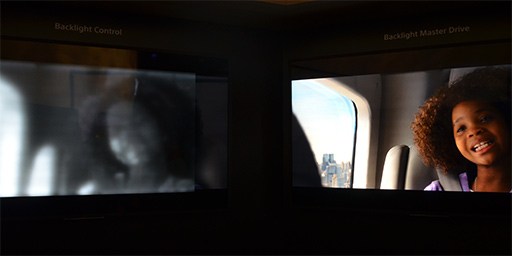 ꡼ No.006 | ʡminiLED˥졼夲ͭELʤɤʤɡƥӤǥץ쥤Ϥ줫鿷夬äƤ!?