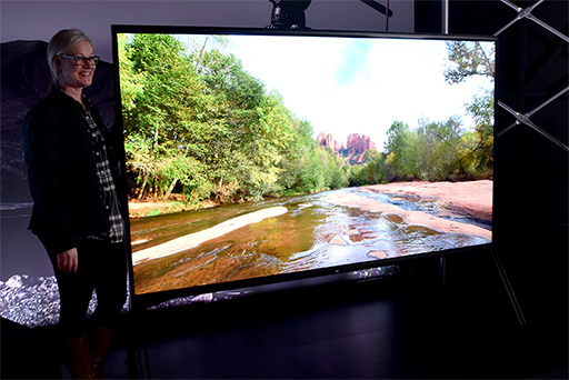 ꡼ No.007 | ʡminiLED˥졼夲ͭELʤɤʤɡƥӤǥץ쥤Ϥ줫鿷夬äƤ!?