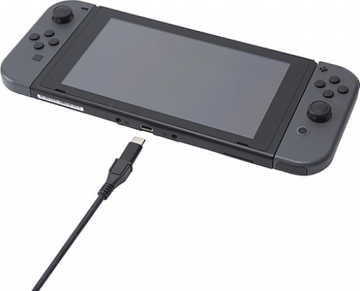 画像ギャラリー No.010のサムネイル画像 / Switch用を謳うUSB Type-A to Type-Cおよび,USB Micro-B to Type-C変換アダプタがサイバーガジェットから