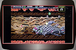 ꡼ No.004 | ֥ᥬɥ饤 ߥˡץץ쥤ݡȡ֥饤פȡ֥ƥȥꥹפϲ桹򹬤ˤƤ롣ơ֥ᥬɥ饿ߥˡפͦѡ