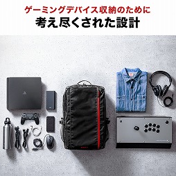 ���������꡼ No.002�Υ���ͥ������ / ����������Ǽ�Ǥ����緿�Υ����ޡ������Хå��ѥå����о�