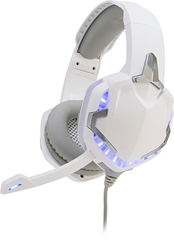 ꡼ No.004 | 㲻˹碌ƿưPC/PS5/PS4б饦ɥإåɥåȤȯ