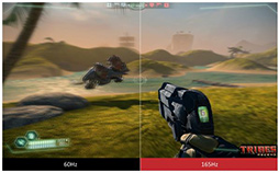 ꡼ No.005 | ViewSonic31.5165HzɽбΥեHDѶʥǥץ쥤ȯ