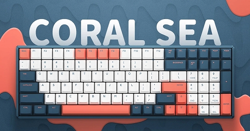 ���������꡼ No.010�Υ���ͥ������ / 10�����դ��Ǥ⥳��ѥ��Ȥʥ����ޡ������ե륭���ܡ��ɤ�����ȯ��