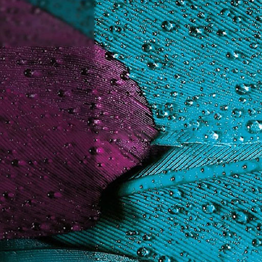 ���������꡼ No.007�Υ���ͥ������ / SteamVR�ߴ��ǽ�����130g�η���VR HMD��GXR Verse�פ�����ȯ��