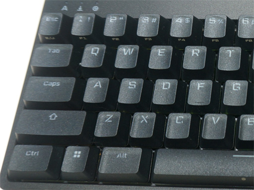 ꡼ No.015 | TGS2022ϥ쥳बeݡĸʥ꡼ELECOM GAMING V customפȯɽ̥磻쥹ޥʤɤо