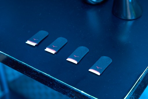 ꡼ No.008 | ߥΤeݡĥܳʻޤϥС쥹䥲ߥ󥰥ʤɤ򻲹ͽŸSF6ȤΥܤȯɽTGS2025