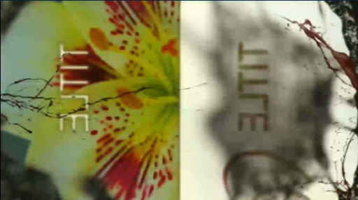 ���������꡼ No.010�Υ���ͥ������ / ��®��ۥ���ۡ��ȥ��饹�ۥåѡ��ˤ�뿷��ϡȥɡɥ�������󥲡��ࡣ�֥�ꥣ���٥륬��פ�PlayStation 4������ȯ�����