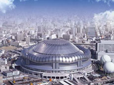 ꡼ No.005Υͥ / ּɥۥӡե'14 Winterפ2014ǯ1194ԻԤǽ缡