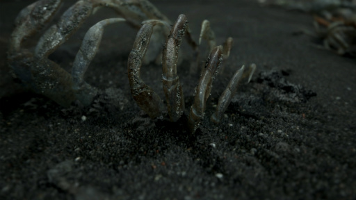 ���������꡼ No.011�Υ���ͥ������ / ��E3 2016�Ͼ�����Ĥ�PS4���������DEATH STRANDING��ȯɽ����ͥ�ΥΡ��ޥ󡦥꡼�������󤬼����餸��ȥ쥤�顼������Ϫ�ܤ�