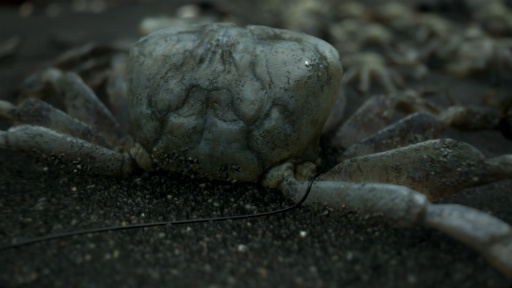 ���������꡼ No.012�Υ���ͥ������ / ��E3 2016�Ͼ�����Ĥ�PS4���������DEATH STRANDING��ȯɽ����ͥ�ΥΡ��ޥ󡦥꡼�������󤬼����餸��ȥ쥤�顼������Ϫ�ܤ�