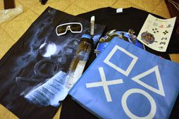 ꡼ No.005 | 140ɥ롤275ɥ롣1㤨ΡPlayStation Experience 2016פϡɤʥ٥ȤʤΤ