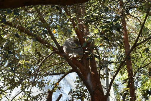 画像ギャラリー No.011のサムネイル画像 / 「Xbox Showcase」がシドニーで開催。Xbox One Xや今後の展開,最新タイトルがお披露目に