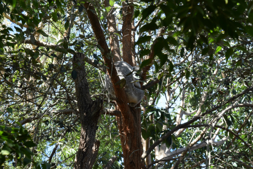 画像ギャラリー No.012のサムネイル画像 / 「Xbox Showcase」がシドニーで開催。Xbox One Xや今後の展開,最新タイトルがお披露目に