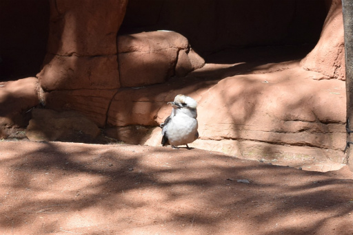 画像ギャラリー No.014のサムネイル画像 / 「Xbox Showcase」がシドニーで開催。Xbox One Xや今後の展開,最新タイトルがお披露目に