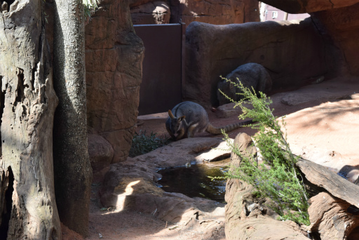 画像ギャラリー No.015のサムネイル画像 / 「Xbox Showcase」がシドニーで開催。Xbox One Xや今後の展開,最新タイトルがお披露目に