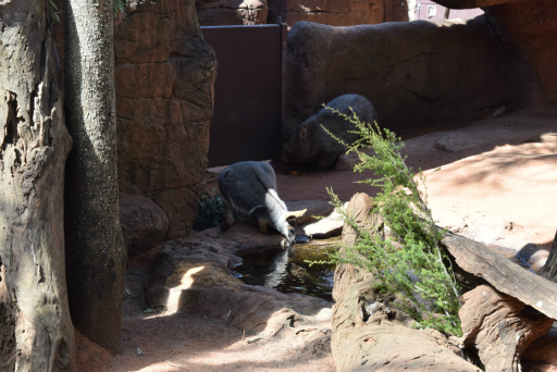 画像ギャラリー No.017のサムネイル画像 / 「Xbox Showcase」がシドニーで開催。Xbox One Xや今後の展開,最新タイトルがお披露目に