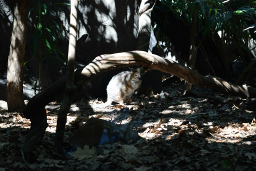 画像ギャラリー No.020のサムネイル画像 / 「Xbox Showcase」がシドニーで開催。Xbox One Xや今後の展開,最新タイトルがお披露目に