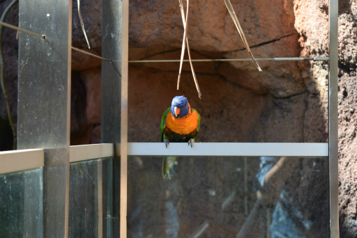 画像ギャラリー No.026のサムネイル画像 / 「Xbox Showcase」がシドニーで開催。Xbox One Xや今後の展開,最新タイトルがお披露目に