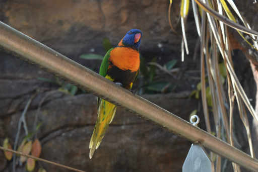 画像ギャラリー No.027のサムネイル画像 / 「Xbox Showcase」がシドニーで開催。Xbox One Xや今後の展開,最新タイトルがお披露目に