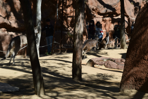 画像ギャラリー No.028のサムネイル画像 / 「Xbox Showcase」がシドニーで開催。Xbox One Xや今後の展開,最新タイトルがお披露目に