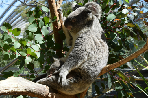 画像ギャラリー No.039のサムネイル画像 / 「Xbox Showcase」がシドニーで開催。Xbox One Xや今後の展開,最新タイトルがお披露目に