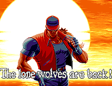 ꡼ No.004Υͥ / NEOGEO꡼Ρֲϵ3פSwitchǡϲ̡ ڤηΡפPS4Xbox Oneǡ215ۿ