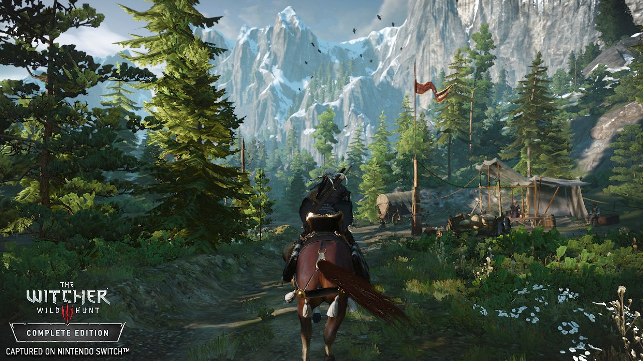Switch the witcher wild hunt complete