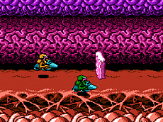 画像ギャラリー No.005のサムネイル画像 / FC/FC互換機用カセット「バトルトード」のリリースは11月25日。“スペシャルカートリッジ“が当たるキャンペーンの開催を予定