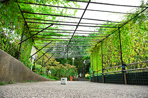 画像ギャラリー No.018のサムネイル画像 / ドリキャスで出会った,たったひとりの親友へ――「なあデカオ。ぐるぐる温泉からいなくなったおまえは今,どこにいる?」